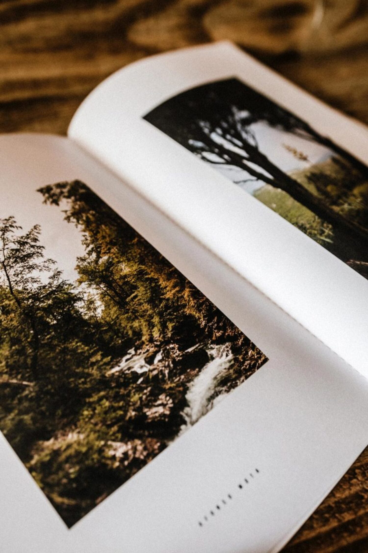 Open pages of the Lobo 'CASA MAIOR' book displaying nature photography of forests and a river, on high-quality paper.