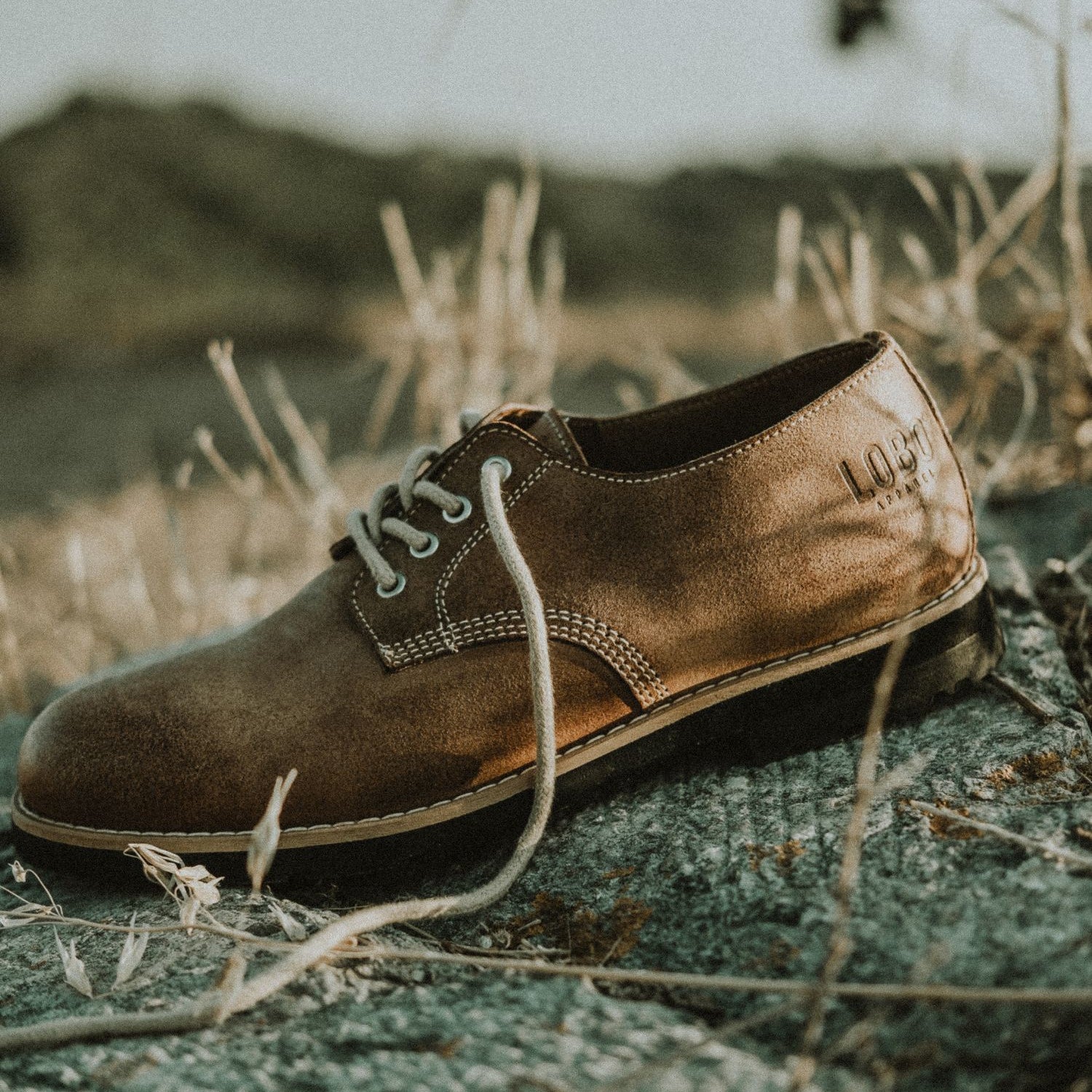 Lobo_Raw_Shoes review