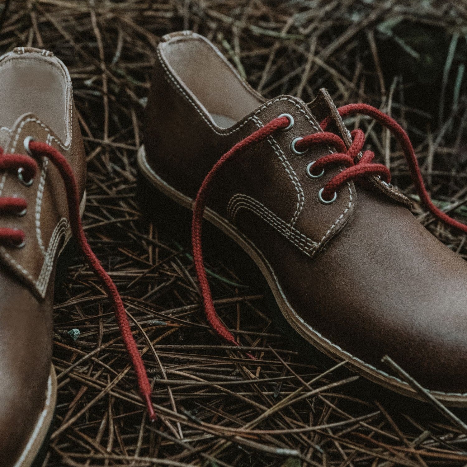 Lobo_Raw_Shoes review 1