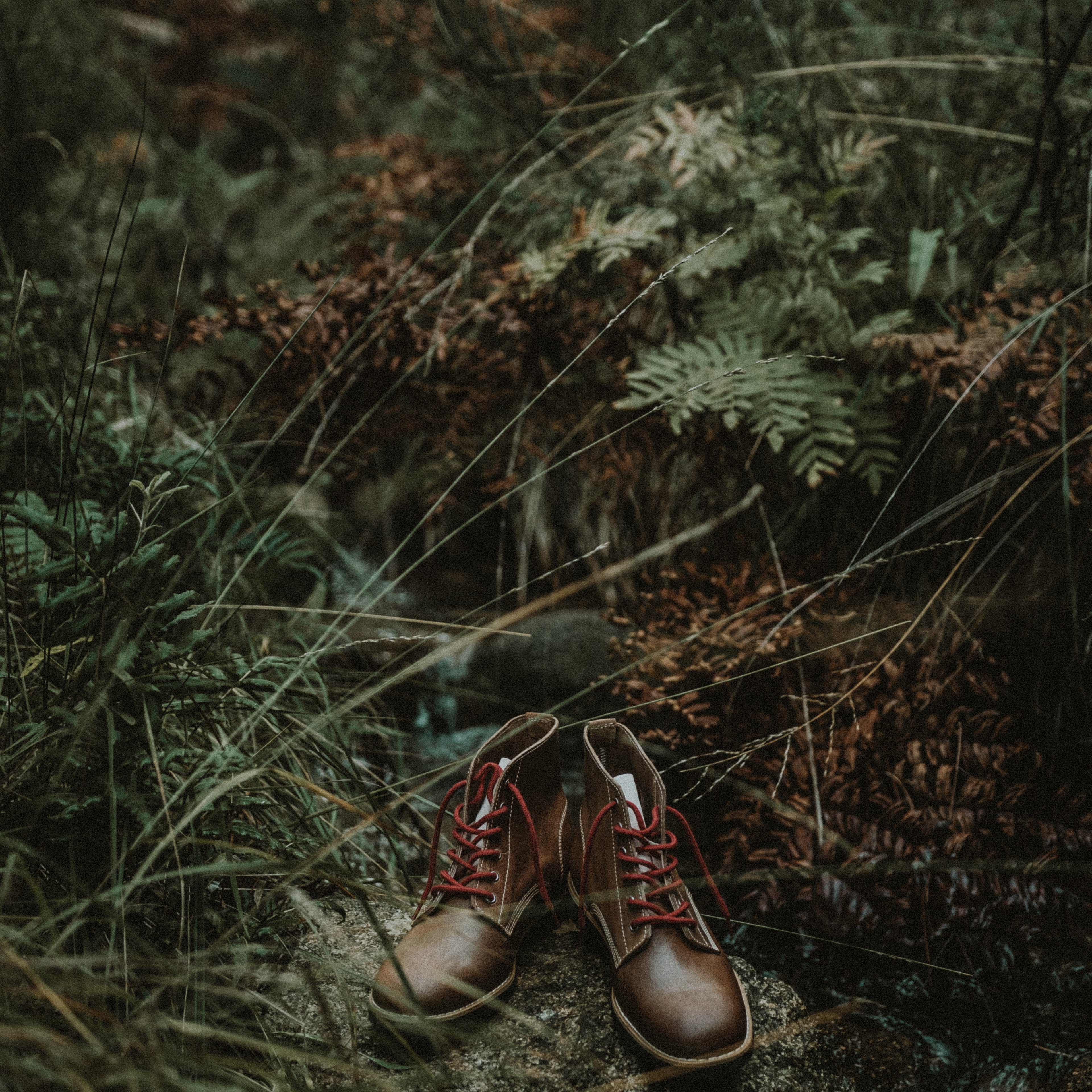 Handcrafted Lobo Raw Boots by Lobo Apparel, made in Portugal with Goodyear Welt construction, showcased in a rugged outdoor woodland setting.