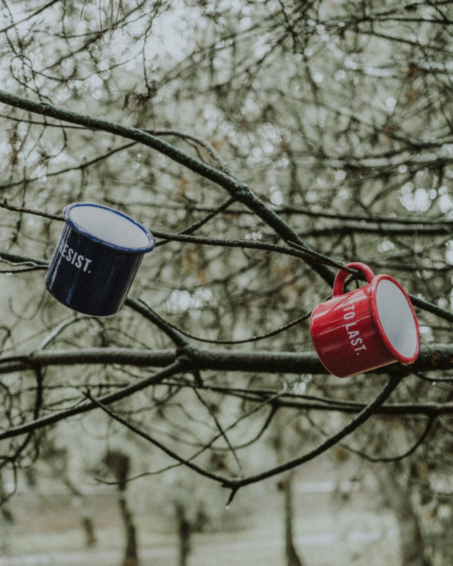 Blue and red Lobo enamel mugs hanging from tree branches in a natural outdoor setting.