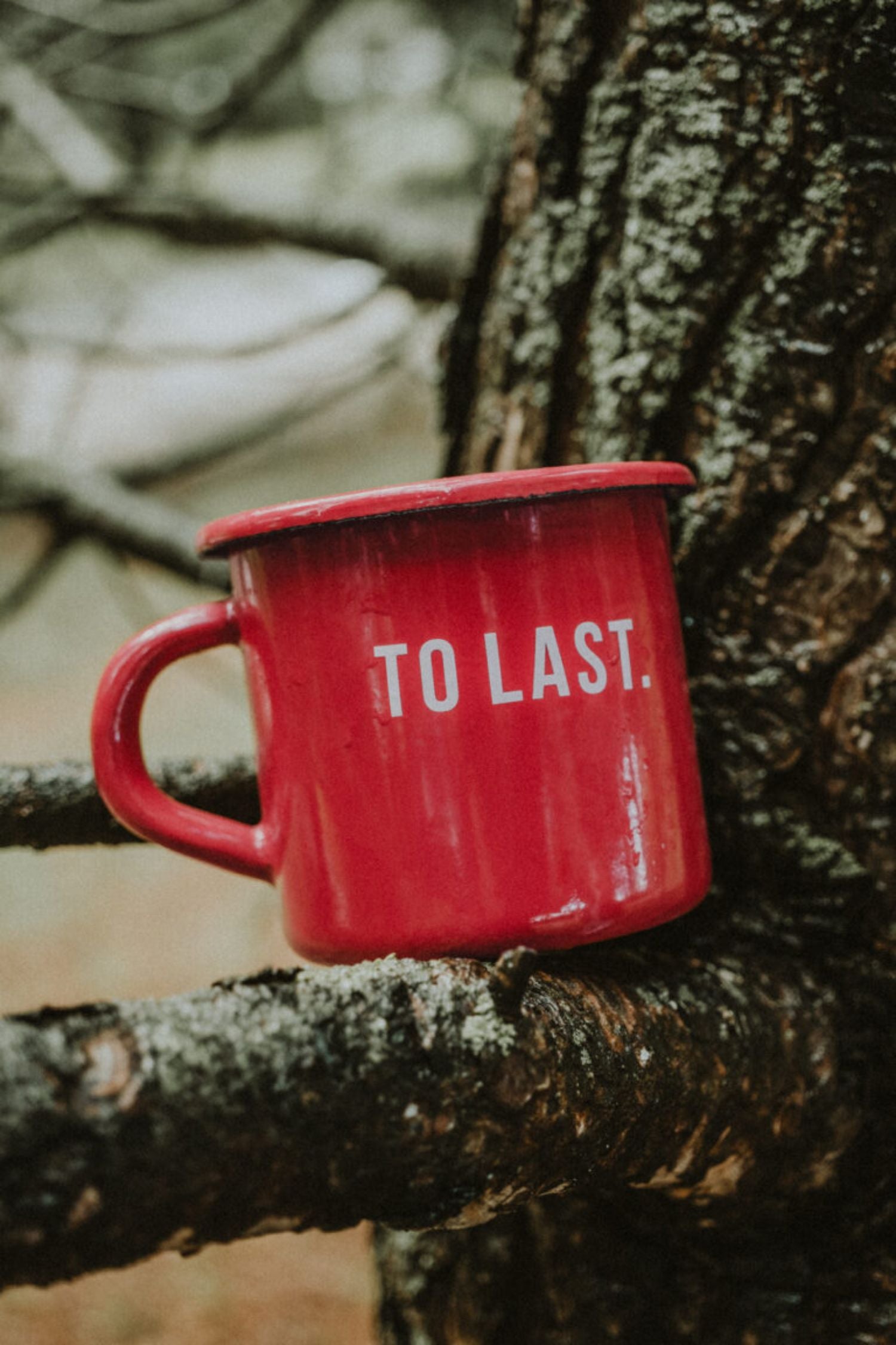 Lobo "To Last" red enamel mug resting on a textured tree branch.
