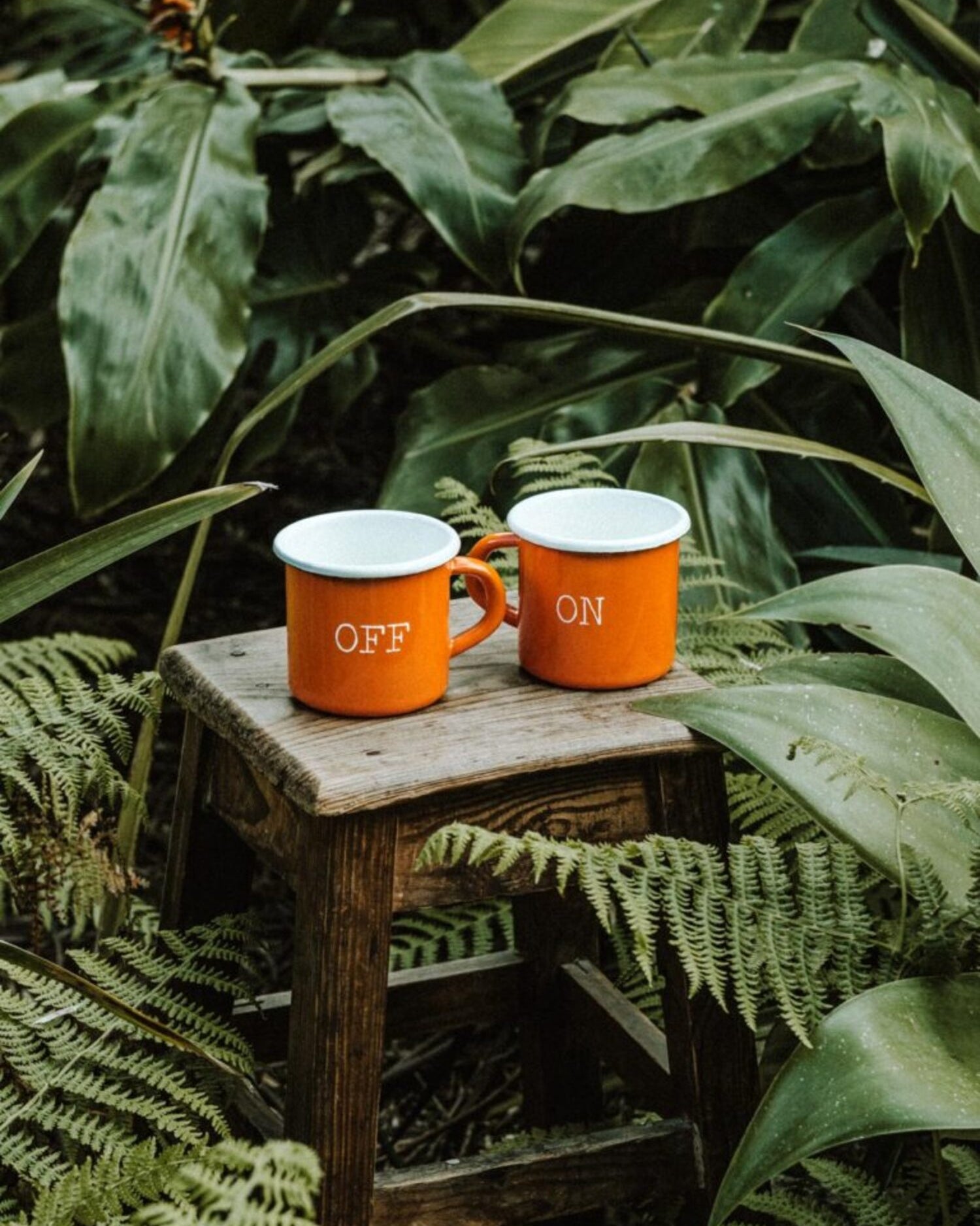 Pair of orange enamel mugs from the Lobo x Naked Malt collaboration on a rustic wooden stool in a natural outdoor setting.