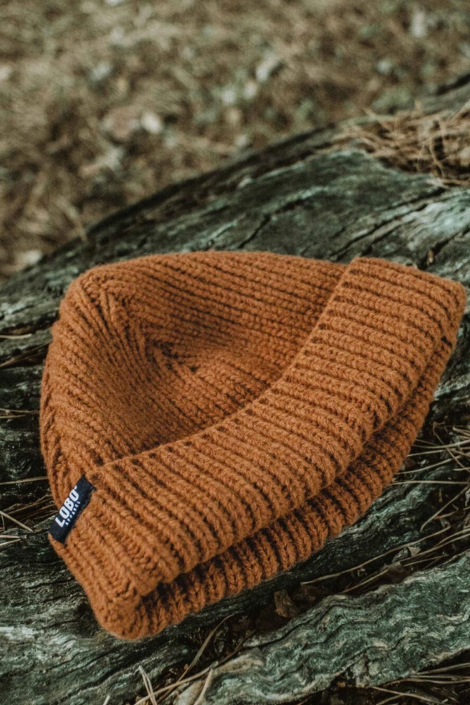 Brown ribbed beanie placed on a tree trunk in a natural outdoor setting.