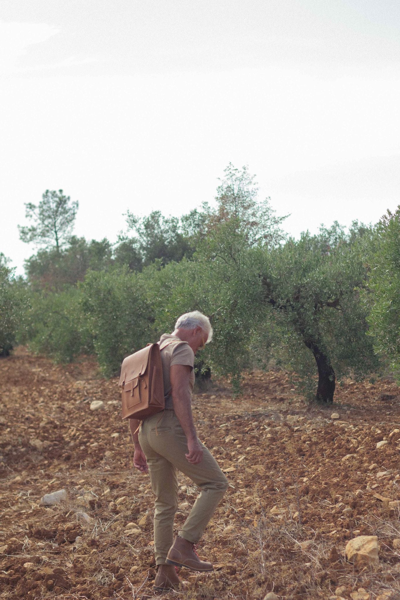 Man walking through an olive grove wearing a natural leather Lobo backpack, highlighting the brand's outdoor and handcrafted style.