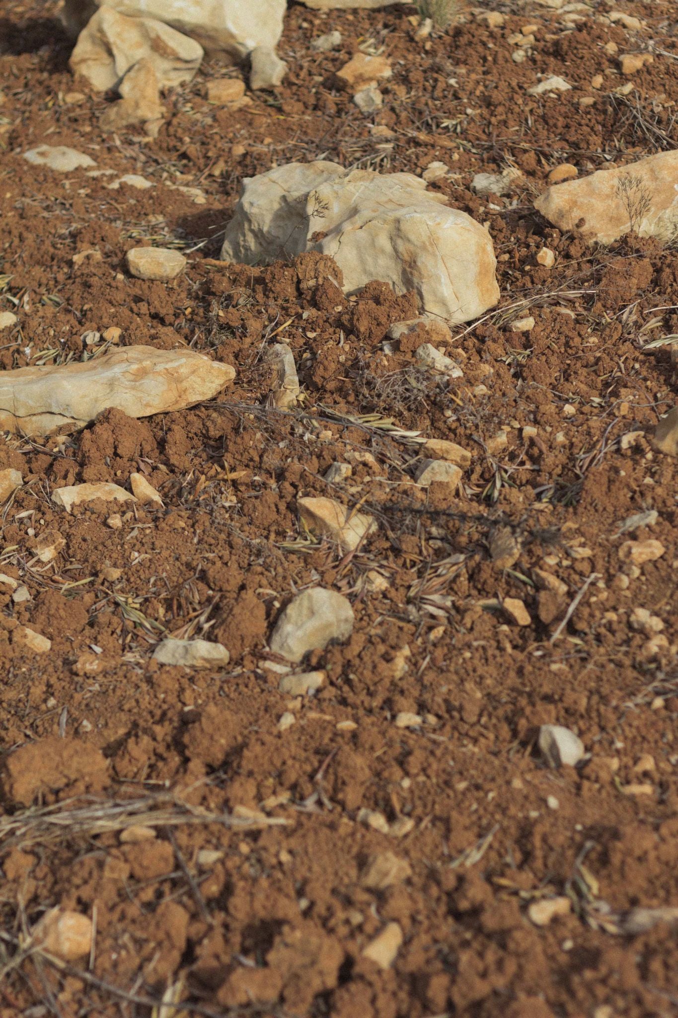 Close-up of arid terrain with dry soil and rocks, evoking the natural and rugged environment where Lobo boots are used.