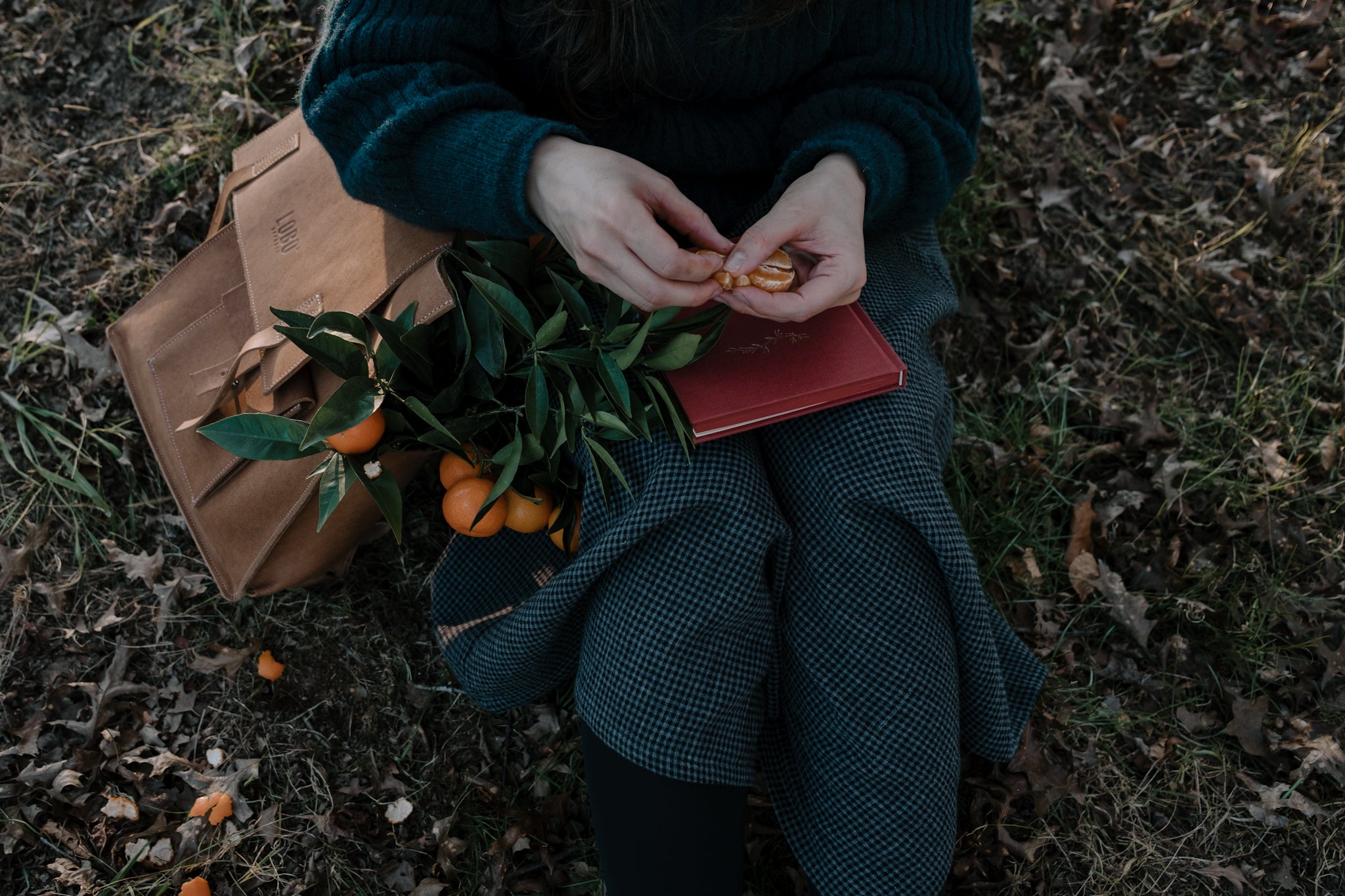 Close-up shot of a woman sitting on the grass with a Lobo leather backpack, a red book, and fresh tangerines, evoking a nostalgic picnic in nature.