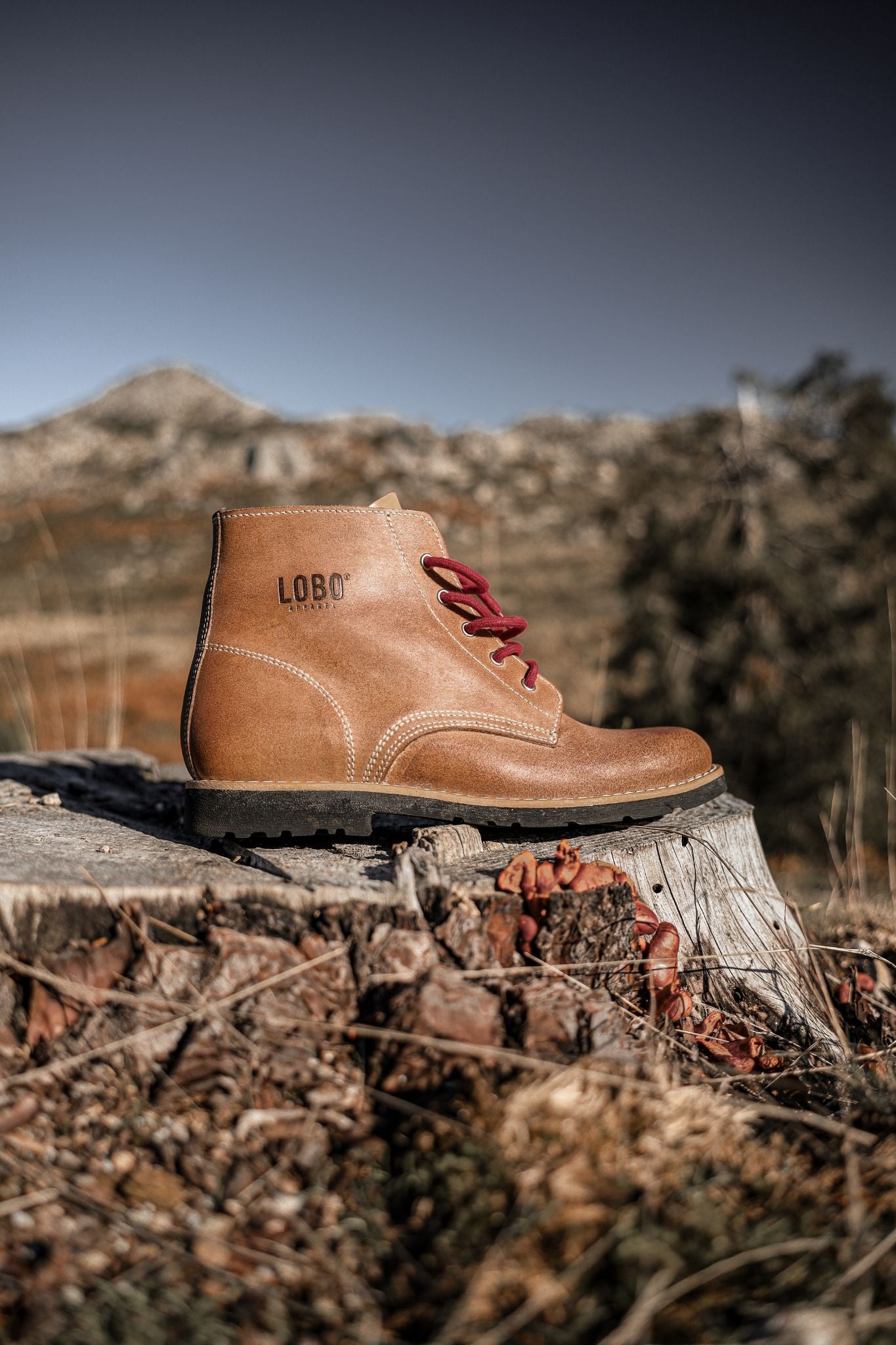 Lobo Raw Boots in brown leather resting on a tree stump, featuring red laces and a rugged black sole. Side profile shot in a natural mountain setting.