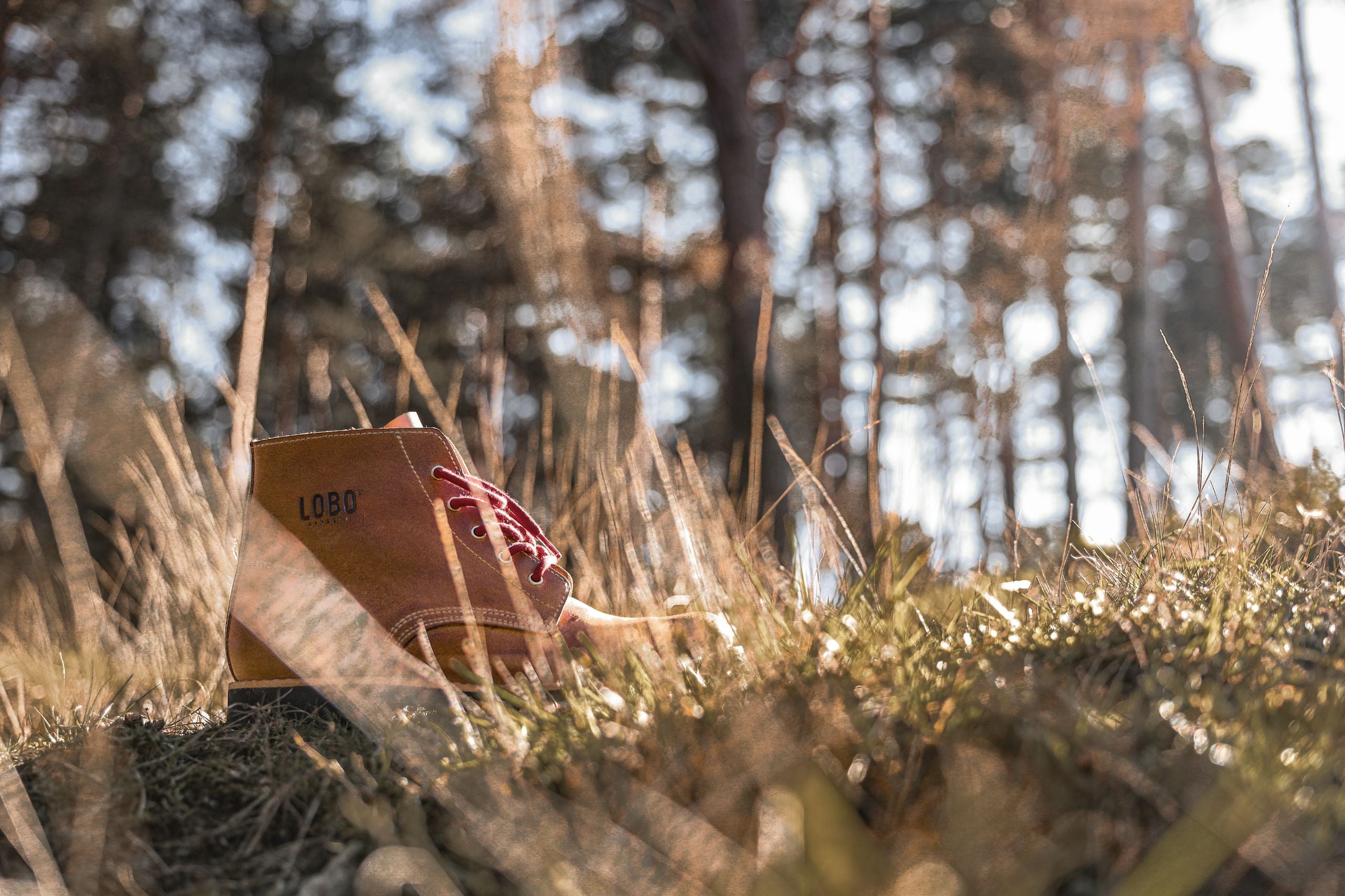 Profile shot of a Lobo Raw Boots in brown leather, partially obscured by tall, dry grass in a sun-drenched forest setting. Highlighting the engraved logo and the vibrant red laces.