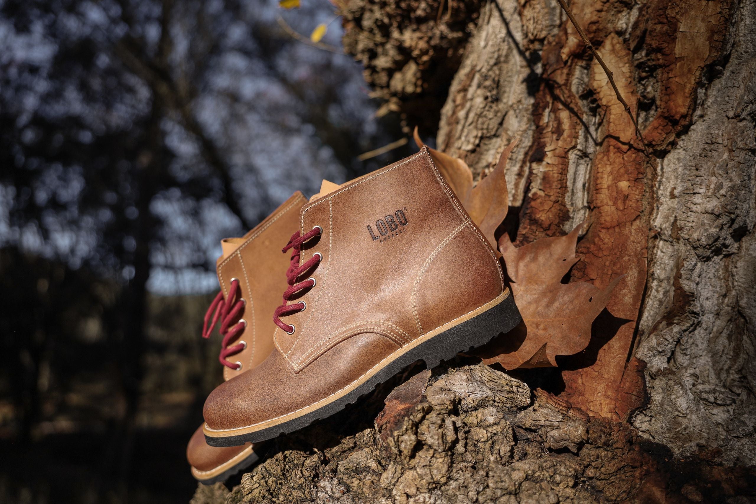 Lobo Raw Boots in brown leather and red laces, resting on a rugged tree trunk surrounded by dry autumn leaves.