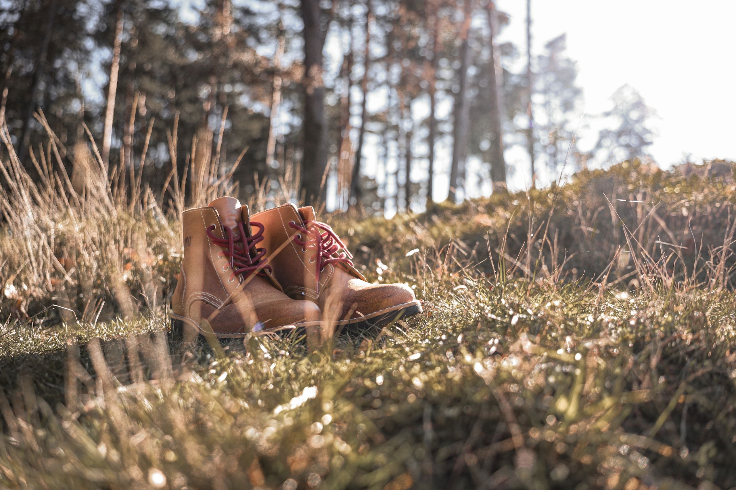 Pair of Lobo Raw Boots in brown leather with red laces, placed on dry grass in a sunlit forest setting.