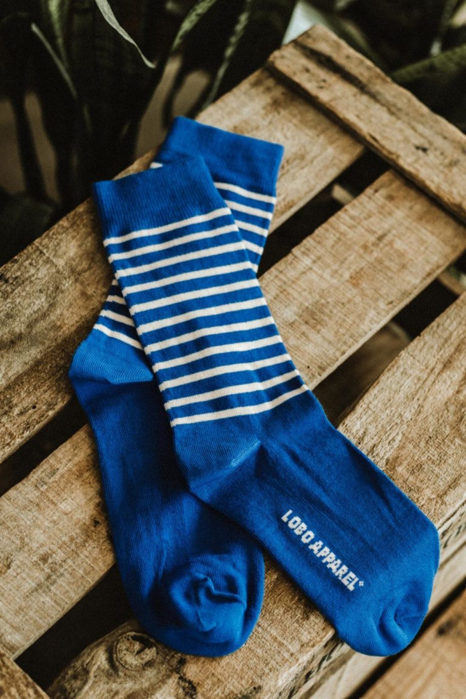 Blue Lobo socks with white stripes laid out on wood, showcasing the embroidered "LOBO APPAREL" logo on the sole and premium natural fiber texture.