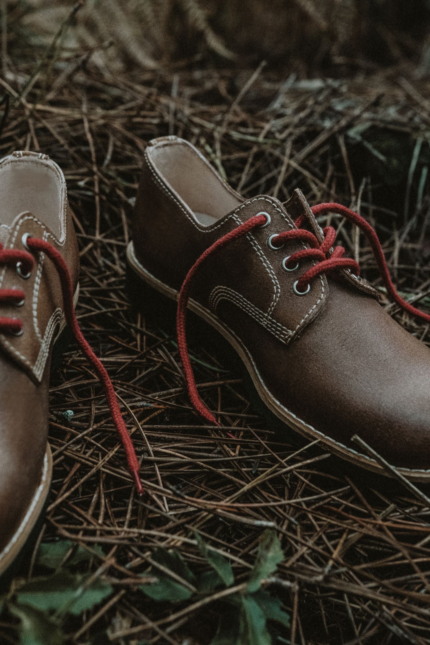 Lobo_Raw_Shoes review2