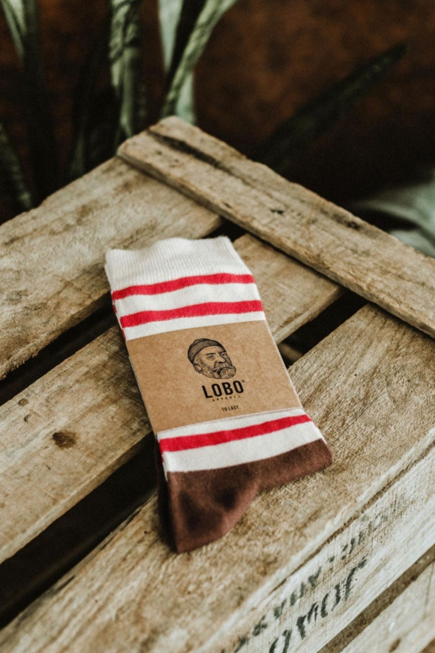 Lobo white socks with red stripes and brown soles, featuring sustainable cardboard packaging on a rustic wooden crate.