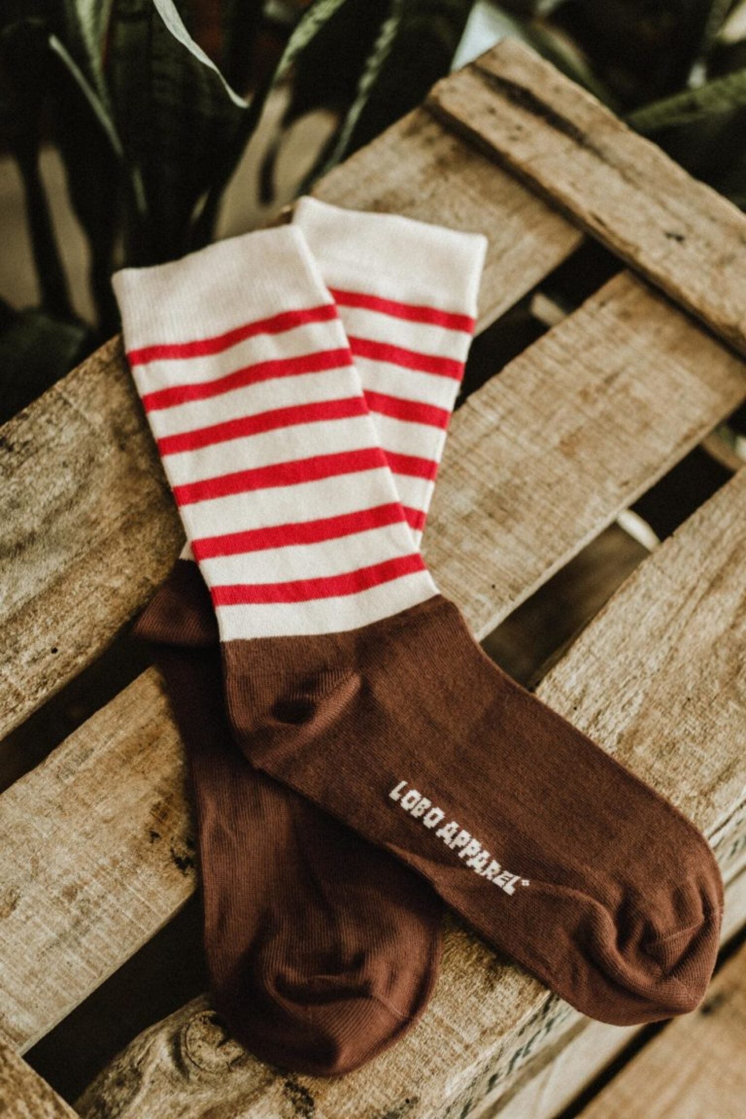 Pair of crew socks with red and white striped pattern and "LOBO APPAREL" logo embroidered on the brown sole.