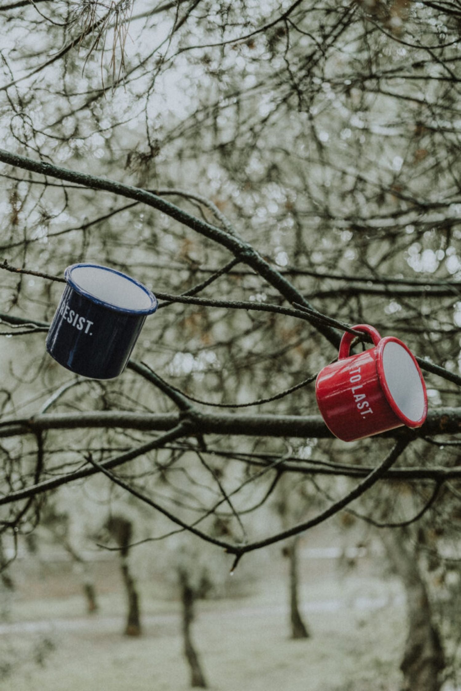 Blue and red Lobo enamel mugs hanging from tree branches in a natural outdoor setting.