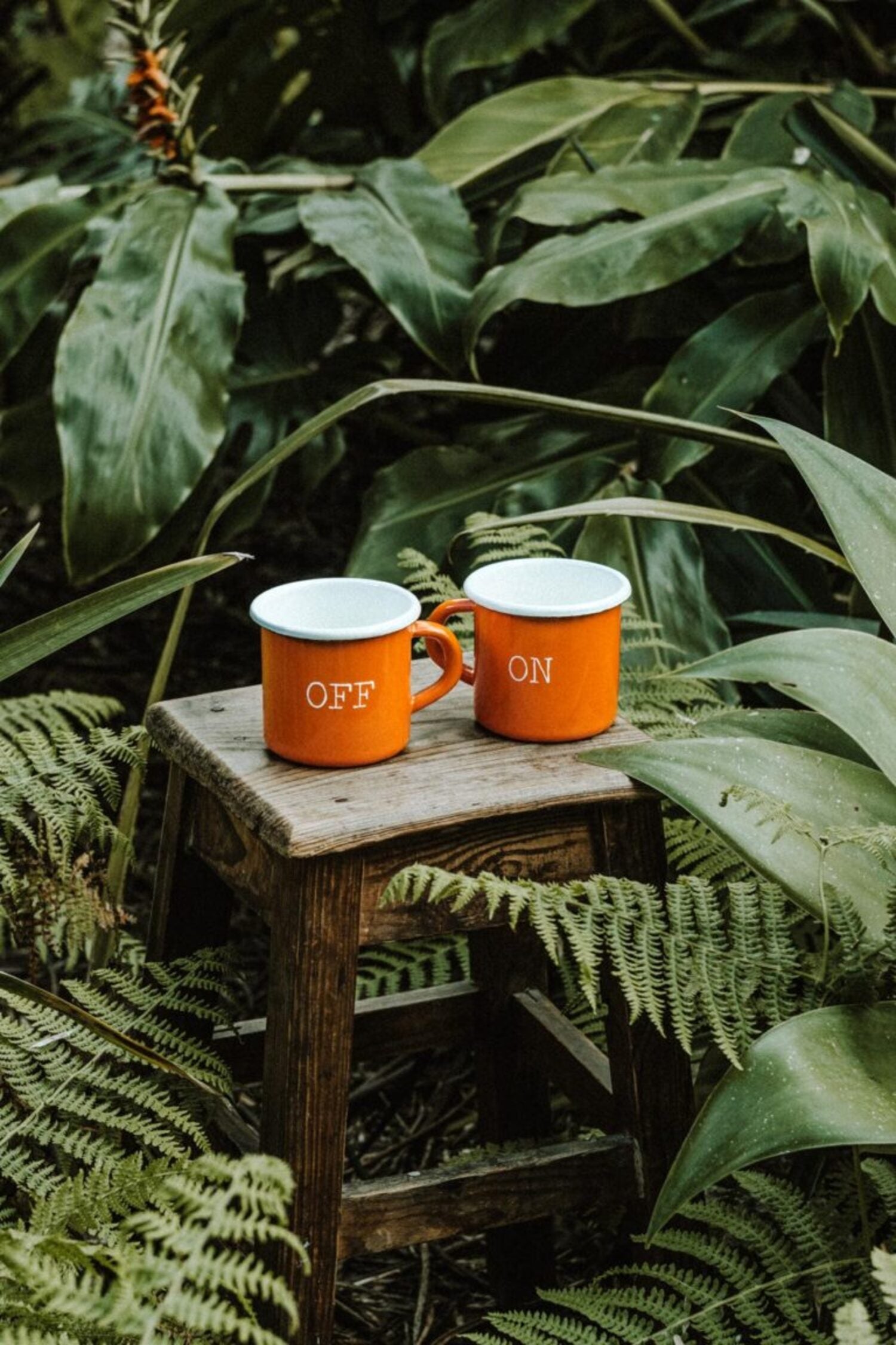 Pair of orange enamel mugs from the Lobo x Naked Malt collaboration on a rustic wooden stool in a natural outdoor setting.