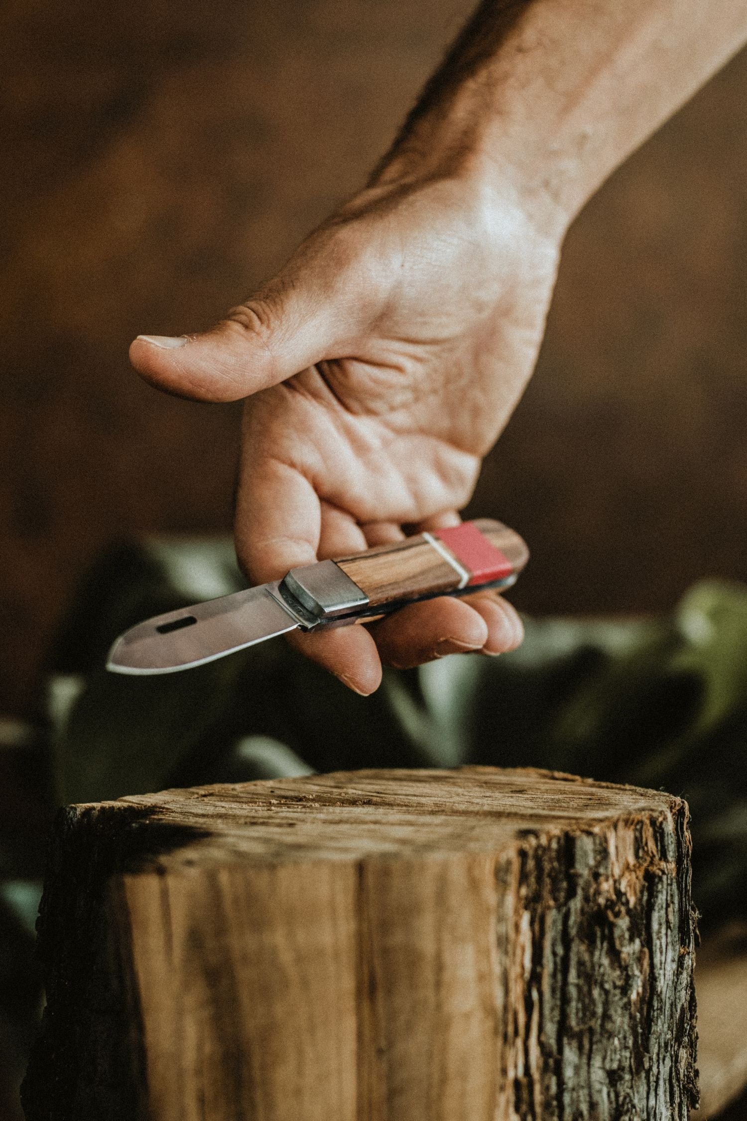 Limited edition LOBO artisanal pocket knife with open blade, held in hand, highlighting the fire-marked olive wood handle and red and white details.