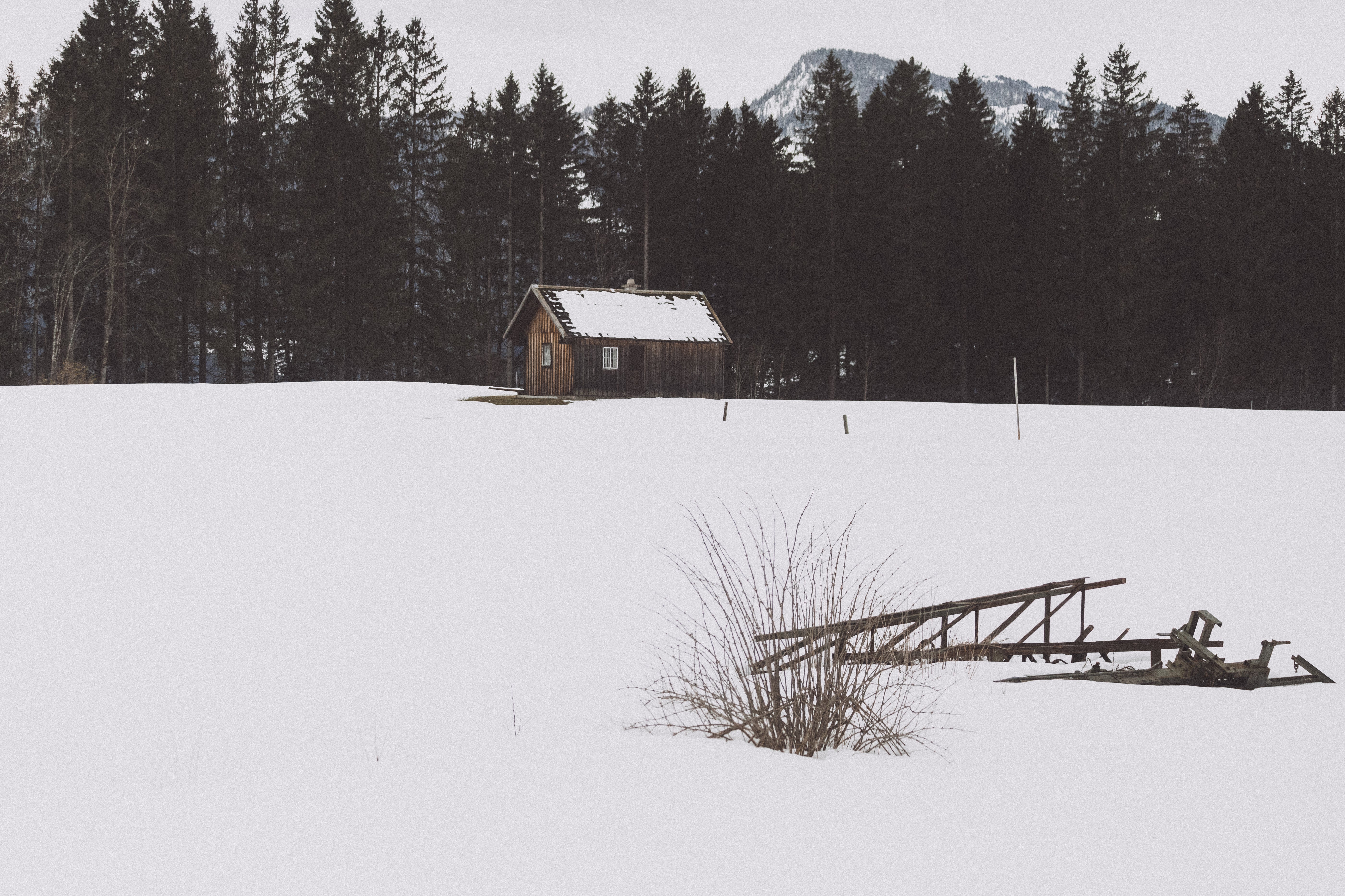 A small, isolated wooden cabin in a snow-covered field, surrounded by a dense pine forest and mountains in the background.