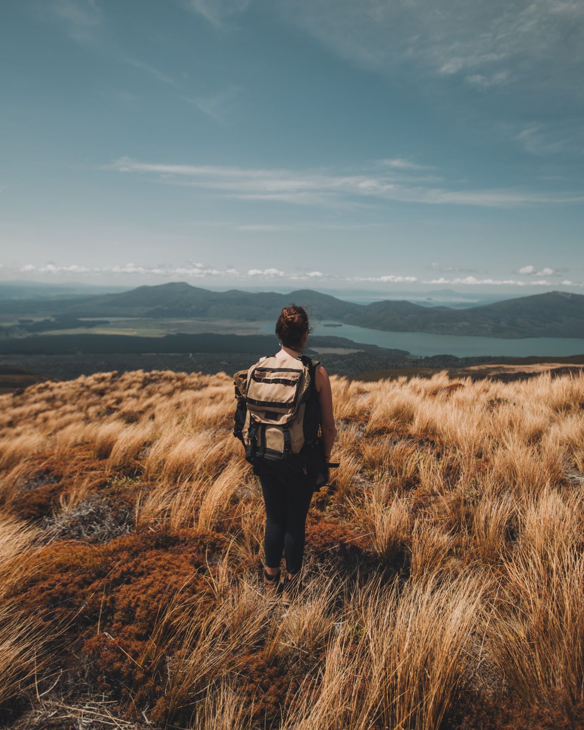 Hiker with a technical backpack facing away from the camera, looking out over mountains and lakes under a blue sky.