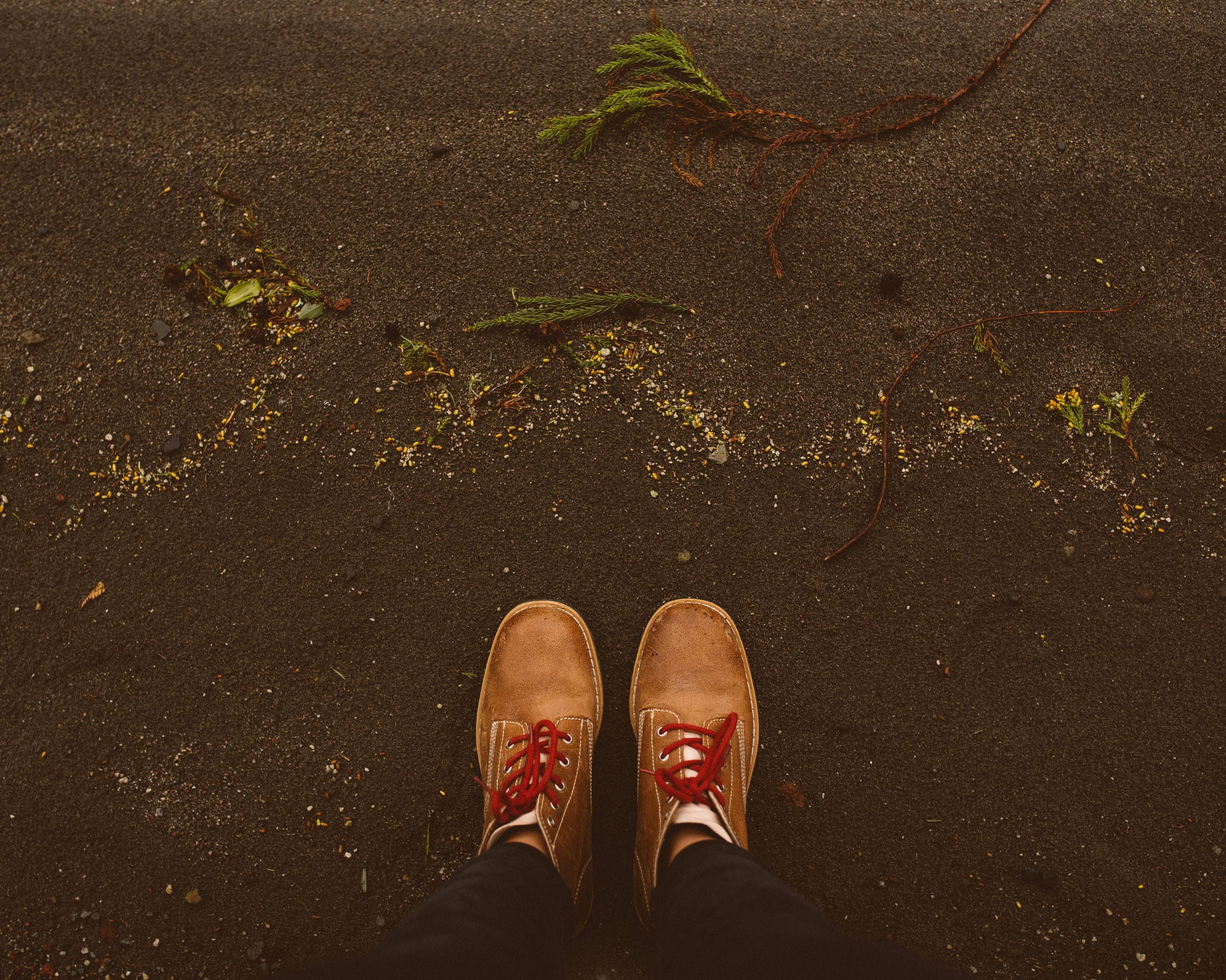 Top-down view of Lobo RAW brown suede boots with red laces on the volcanic sand of the Azores, with small green branches. Background image for the Lobo Apparel Manifesto.