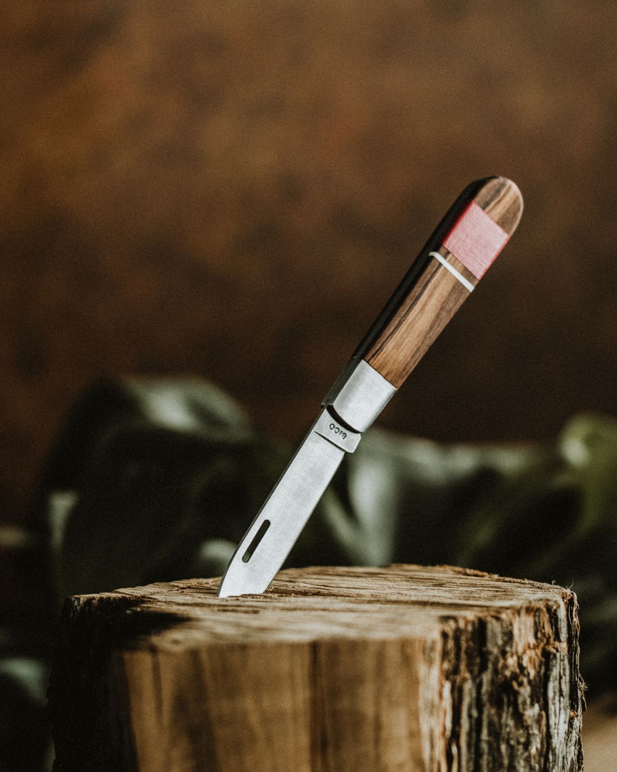 LOBO artisanal pocket knife by Fernando Mendes stuck in a wood stump, featuring an olive wood handle and red decorative detail. Exclusive traditional Portuguese cutlery design.