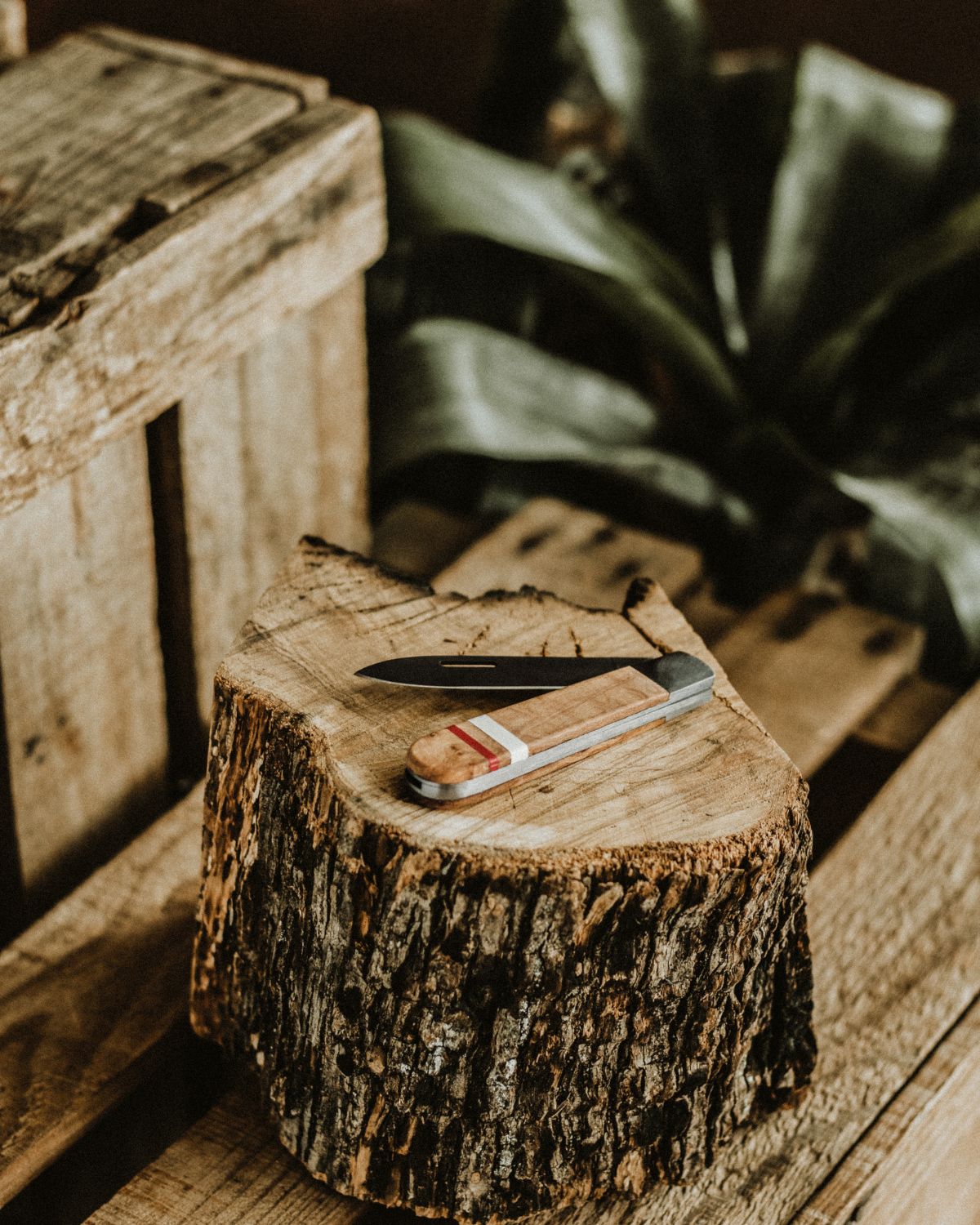 LOBO artisanal pocket knife by Fernando Mendes with olive wood handle and colorful accents, resting on a rustic wooden stump. Exclusive Portuguese cutlery piece.